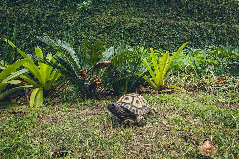 Pé na Areia para até 30 pessoas na Praia de Pernambuco